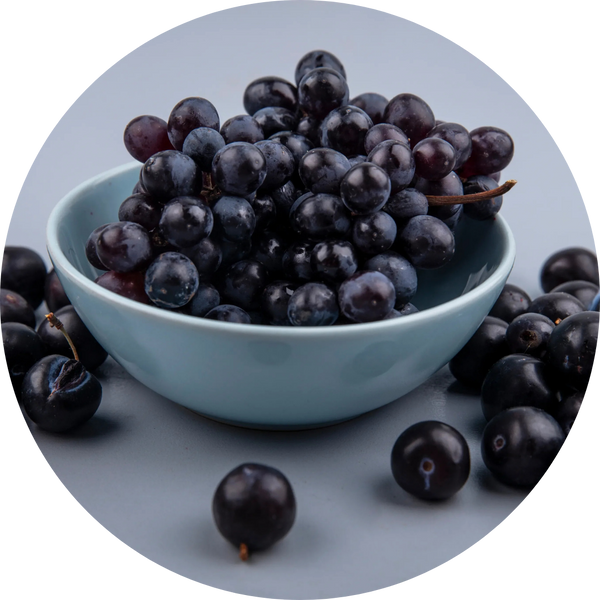 Elderberry