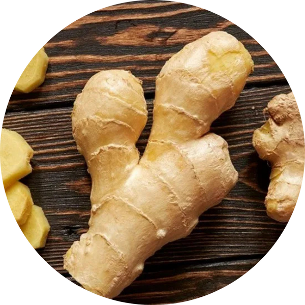 Ginger