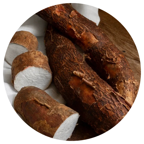 Burdock Root