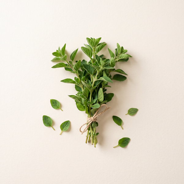 Oregano